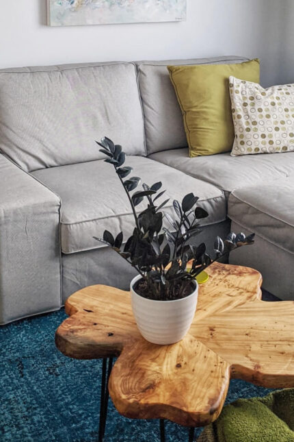 plants shop product gallery img 3