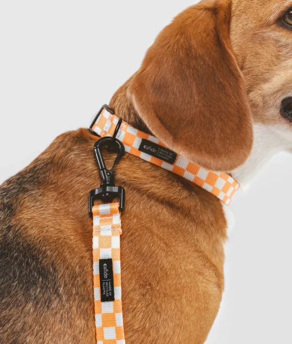 collarpet recicladodiseñonaranjamelocotónjuno2