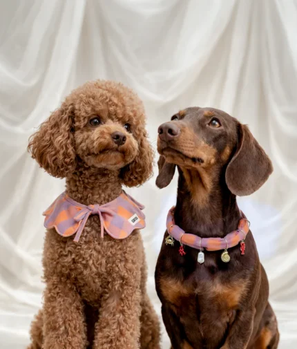 bandana charms perro vichy violeta coral sira2