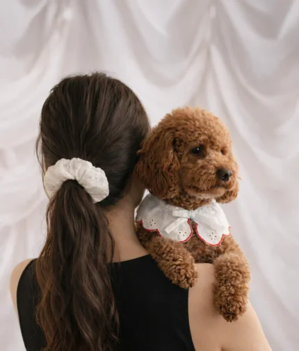 bandana estilo cuello perro diseño bordado inglés coral, lola2