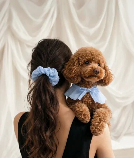 bandana estilo cuello perro diseño plumeti azul, lola2