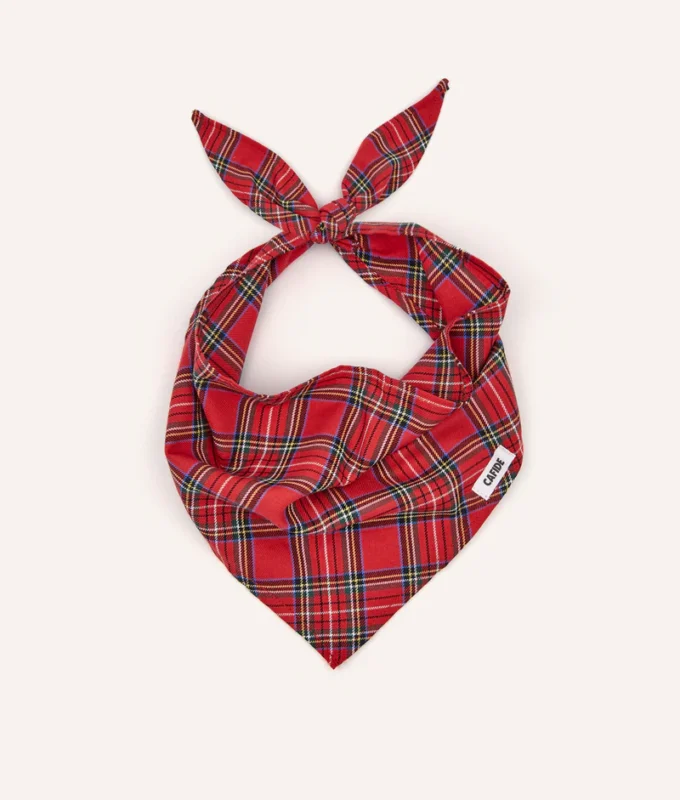 bandana perro diseño tartán royal stewart, nata1