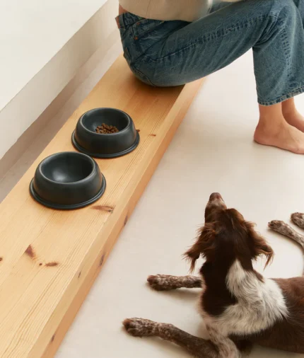 bol comedero perro de cerámica antracita, bole2