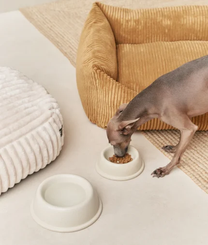 bol comedero perro de cerámica blanco hueso, bole2