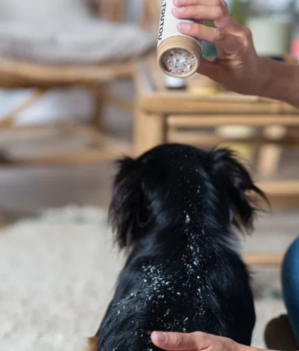 champú seco para perros bio 20g2